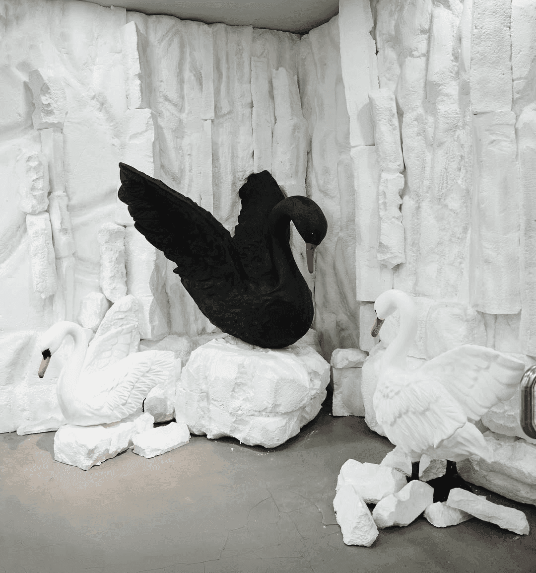 HIGHLANDS COFFEE - Brand Refresh